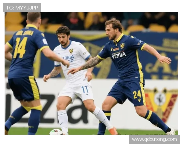 维罗纳球员近期表现稳健,整体状态持续提升 维罗纳球员近期表现稳健,整体状态持续提升