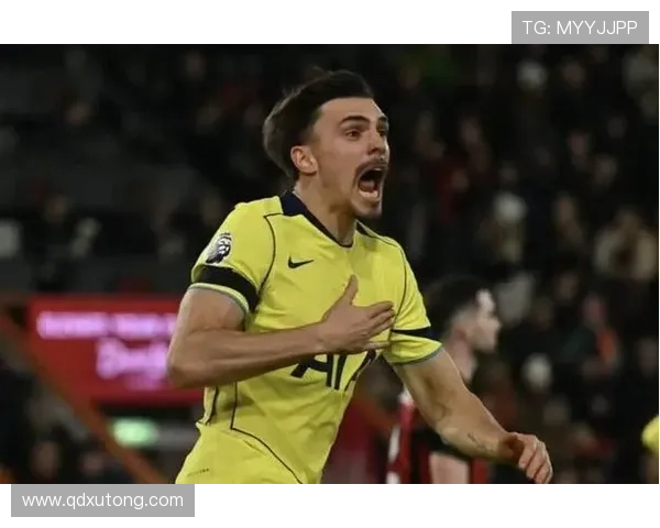 英超抢断王级表现：帕利尼亚的个人高度